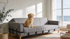 Washable Couch Covers for Pets: An AU Guide
