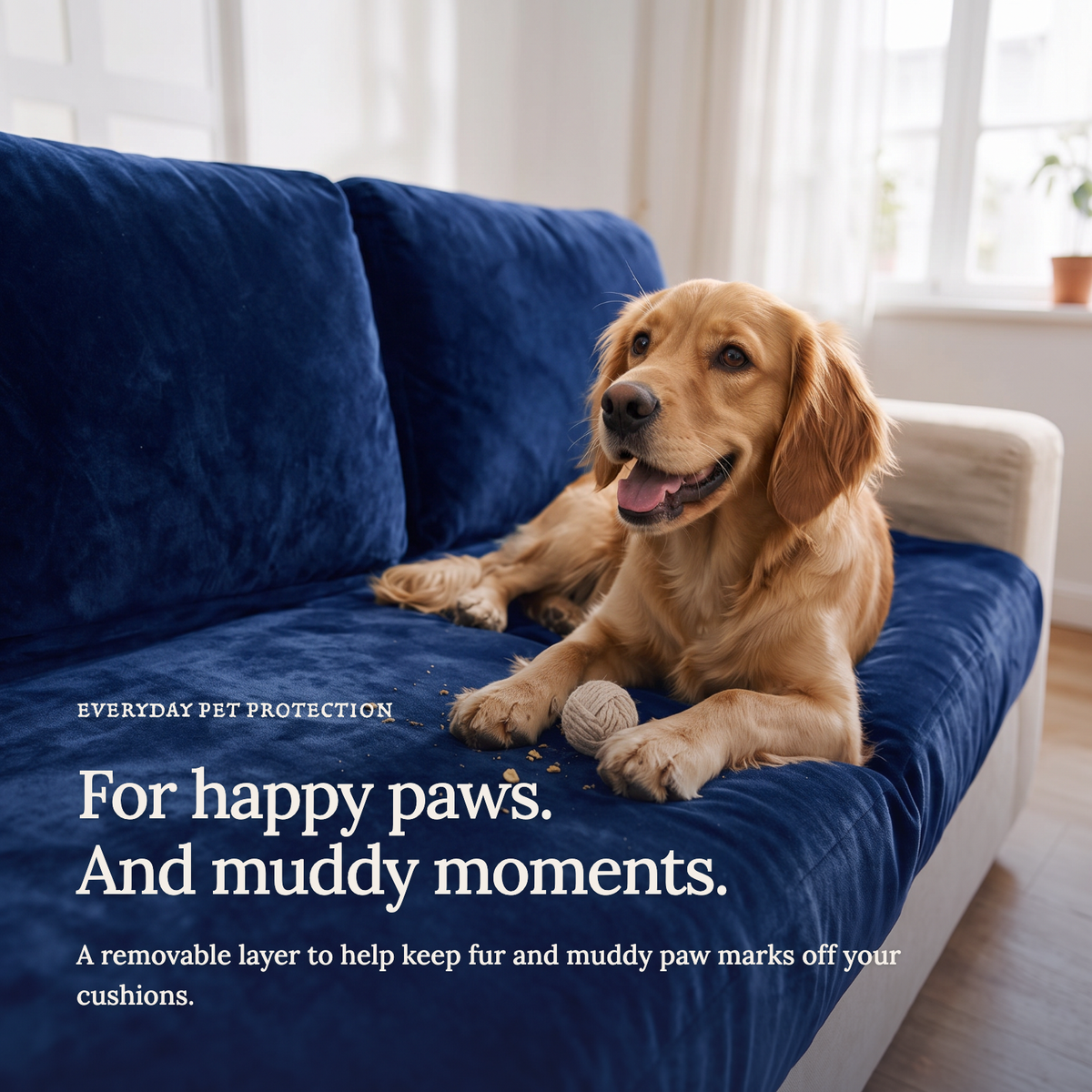 Housse de coussin de canapé Velours · Bleu marine · Extensible — Le confort au quotidien avec vos animaux
