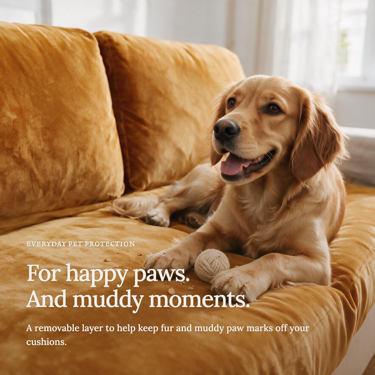 Housse de coussin de canapé Velours · Orange · Extensible — Le confort au quotidien avec vos animaux