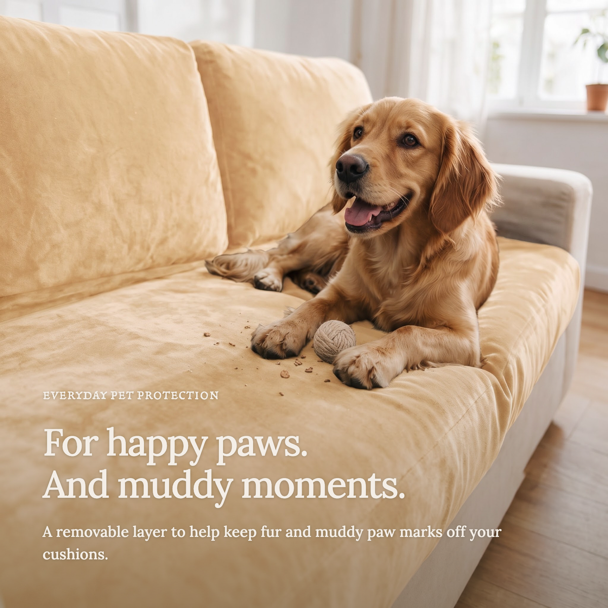 Housse de coussin de canapé Velours · Beige · Extensible — Le confort au quotidien avec vos animaux