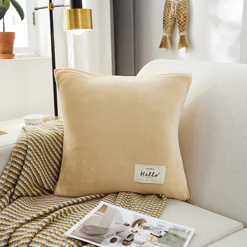 Housse de coussin Velours · Beige